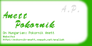 anett pokornik business card